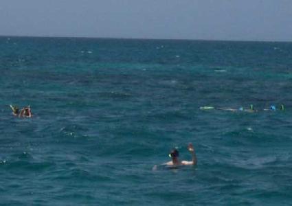 Todd as he snorkels off of Antigua