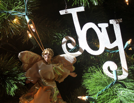 Joy to the world, the Lord is come