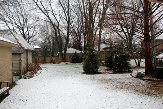 Snow on the ground in the backyard